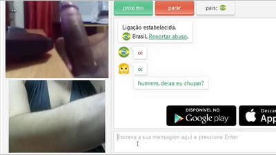 የብልግና ብልግና